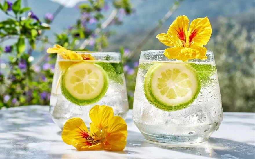 best gin for spring — Spirits — The Three Drinkers